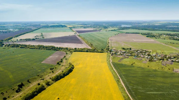 Ufuktaki Yeşil Sarı Kolza Tohumu Tarlası Köyünün Havadan Görüntüsü Doğal — Stok fotoğraf