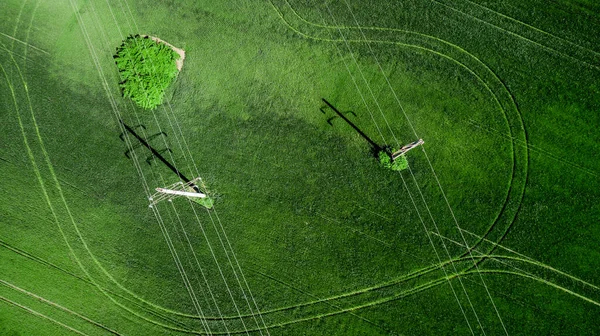 Воздушный Вид Травяного Поля Естественный Удивительный Романтический Зеленый Весенний Летний — стоковое фото
