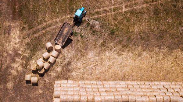 Άποψη Σύγχρονο Γεωργικό Εξοπλισμό Μηχανήματα Τρακτέρ Συλλέγει Σιτάρι Τομέα Εποχιακά — Φωτογραφία Αρχείου