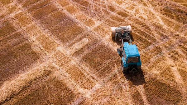 Вид Сучасне Сільськогосподарське Обладнання Техніка Трактор Збирає Пшеничне Поле Сезонні — стокове фото
