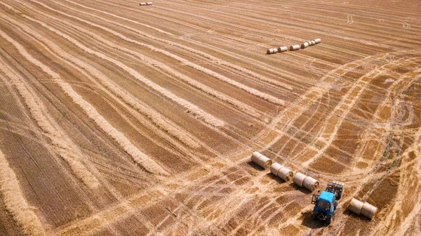 鸟瞰现代农业设备 拖拉机收获麦田 季节性工作 无人机发射 带有文字空间的图片 从上而下的农田 — 图库照片