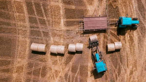 現代の農業機器機械トラクター収穫小麦畑 季節ごとの作品 ドローンが撃たれた テキストのためのスペースを持つ画像 上から見た農地 — ストック写真