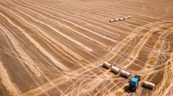 Moderne Landwirtschaftliche Geräte Maschinen Traktoren Ernten Weizenfeld Saisonarbeiten Drohnenschuss Bild Stockbild