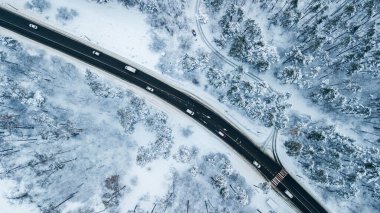 Gökyüzünden her zaman yeşil olan Noel Ormanı 'nın havadan görünüşü. İHA atışı. Doğal kış geçmişi