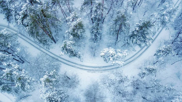 Widok Lotu Ptaka Wiecznie Zielonego Lasu Bożego Narodzenia Góry Strzał — Zdjęcie stockowe