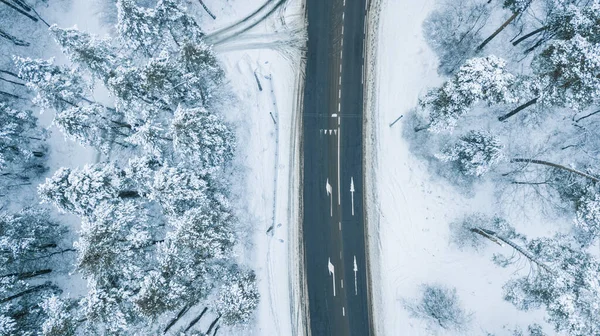 Vista Aérea Del Bosque Pinos Navidad Hoja Perenne Desde Arriba — Foto de Stock