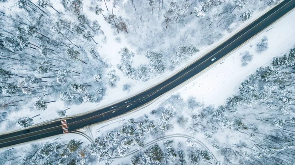 Vista Aérea Del Bosque Pinos Navidad Hoja Perenne Desde Arriba — Foto de Stock