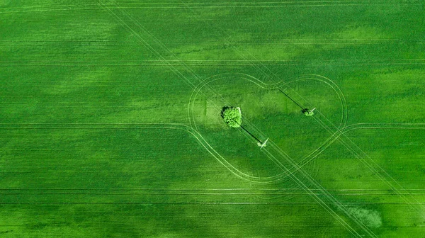 草原の空中風景です 自然の素晴らしいロマンチックな緑の春の夏の背景 心の形をした道と木です ドローンが撃たれた 上から見た農地 — ストック写真