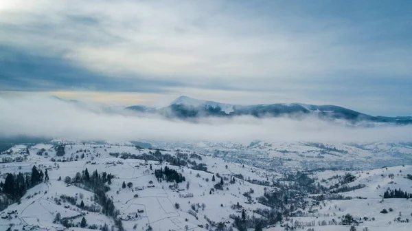 Widok Góry Las Sosnowy Oko Ptaka Strzał Drona Niesamowite Naturalne — Zdjęcie stockowe