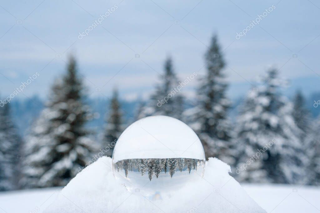 reflection of the winter forest in lensball. beautiful winter landscape. Christmas background