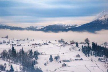 Harika bir kış dağı manzarası. Karla kaplı köknar ağaçları. Güzel kış manzarası