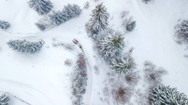 Güzel kış manzarası. Dağlarda karla kaplı köknar ağaçları.