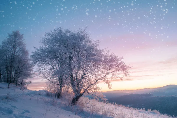Vinterlandskap Vinter Landsväg Och Träd Täckta Med Snö Och Frost — Stockfoto