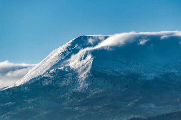 Paysage Hivernal Montagnes Horizon Couvertes Neige — Photo