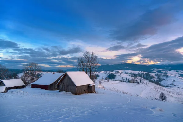 Bellissimo Paesaggio Invernale Abeti Coperti Neve Montagna — Foto Stock