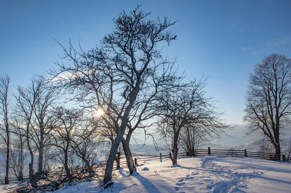 Zimní Krajina Silueta Stromu Hora Obzoru — Stock fotografie