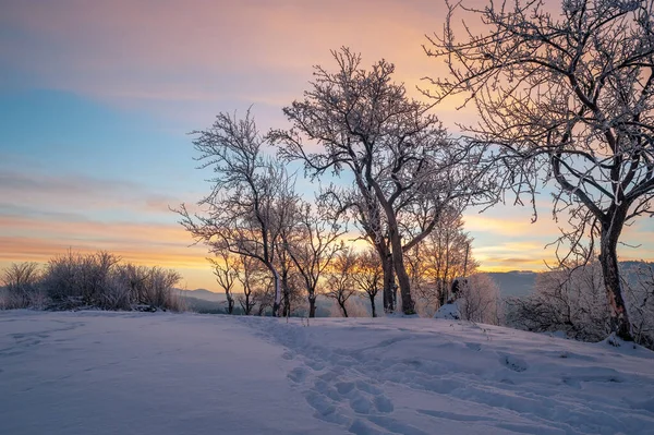 Paisagem Inverno Silhueta Árvore Montanha Horizonte — Fotografia de Stock