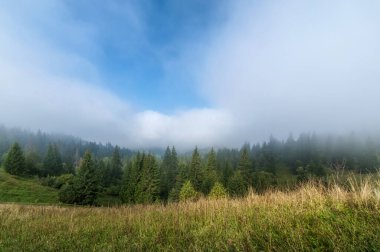 Dağlarda sisli bir sabah. Ufuktaki orman ve mavi bulutlu gökyüzü. metin için alanı olan peyzaj