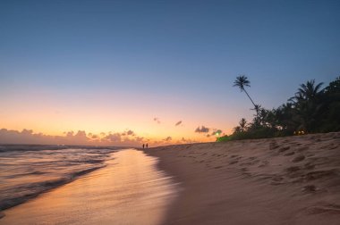 Palmiyeleri, kayaları ve mavi bulutlu gökyüzü olan egzotik okyanus plajı