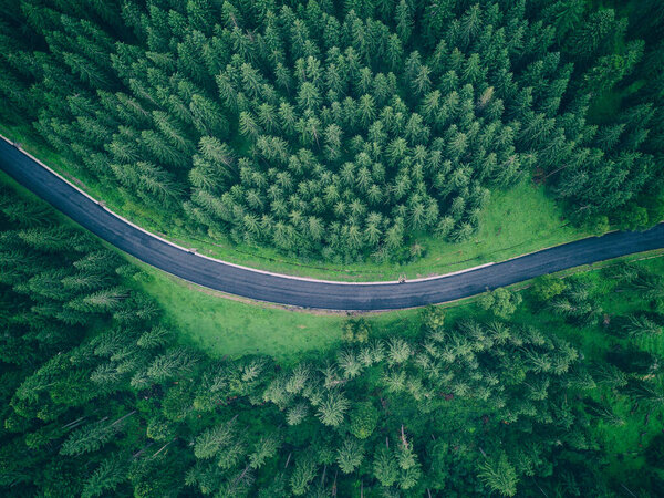 beautiful mountain view with green foggy forest and empty road. natural summer (spring) background. amazing landscape. drone shot. toned picture 