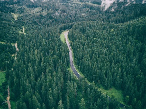 Belle Vue Sur Montagne Avec Forêt Brumeuse Verte Route Vide — Photo