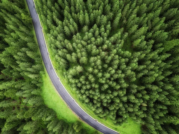 aerial veiw of empty road in green forest. drone shot