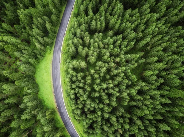 aerial veiw of empty road in green forest. drone shot