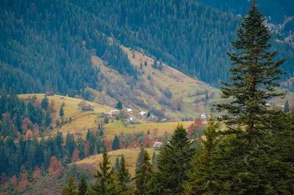 Barevný Podzimní Les Úžasná Krajina — Stock fotografie
