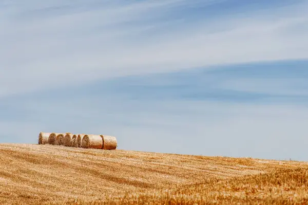 Heuhaufen Auf Einem Weizenfeld Unter Dem Strahlend Blauen Bewölkten Himmel — Stockfoto