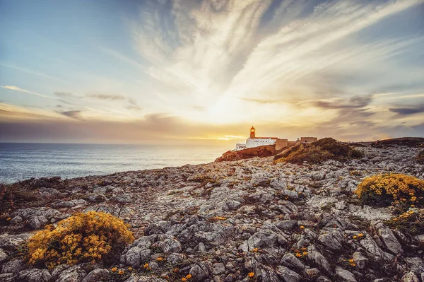 Beautiful Atlantic Ocean View Horizon Lighthouse Flowers Rocks Sunset Algarve — Stock Photo, Image