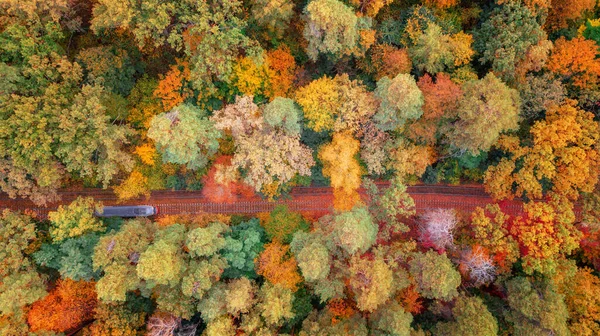 Aerial Veiw Colorful Forest Train Railway Amazing Autumn Background Bird — Stock Photo, Image