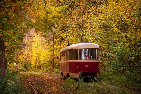 Tram Retrò Rosso Nella Magica Foresta Colorata Soleggiata Incredibile Sfondo — Foto Stock
