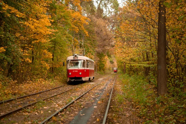 Tram Retrò Rosso Nella Magica Foresta Colorata Soleggiata Incredibile Sfondo — Foto Stock