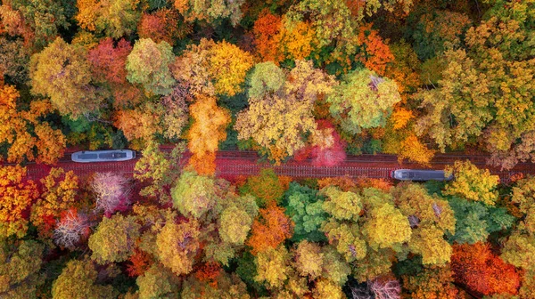 Antenn Slöja Färgglada Skog Och Tåg Järnvägen Fantastisk Höst Bakgrund — Stockfoto