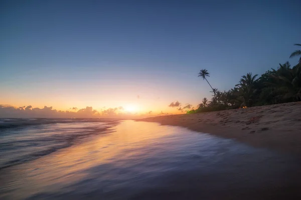 Vacker Exotisk Havsstrand Med Palmer Klippor Och Blå Molnig Himmel — Stockfoto