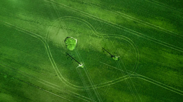 Luftaufnahme Des Rasenfeldes Natürliche Erstaunlich Romantische Grüne Frühling Sommer Hintergrund — Stockfoto