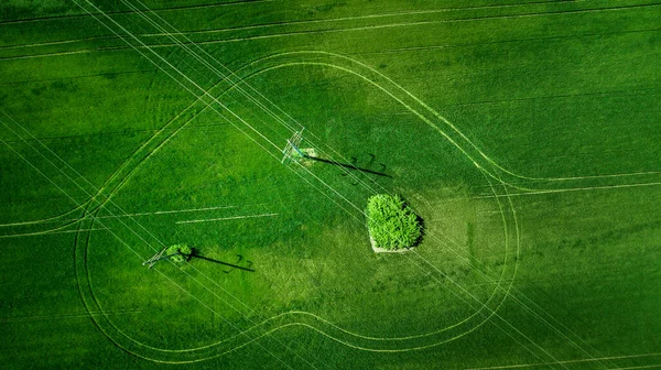 Luftaufnahme Des Rasenfeldes Natürliche Erstaunlich Romantische Grüne Frühling Sommer Hintergrund — Stockfoto