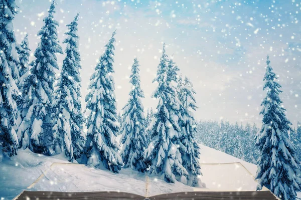 Öffnete Magisches Buch Mit Schnee Bedeckte Tannen Schöne Winterlandschaft Stockbild