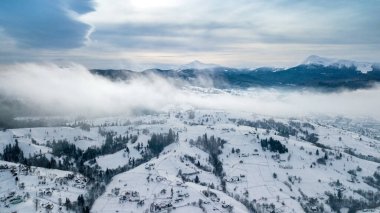 Çam ormanlarının yukarıdan görünüşü. Kuş gözü, İHA atışı. şaşırtıcı doğal kış geçmişi