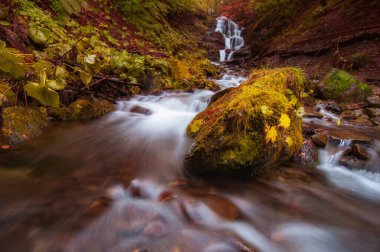 Renkli sonbahar ormanı ve su deposu. Şaşırtıcı manzara