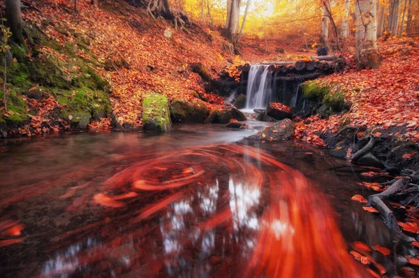 Colorido Bosque Otoño Watrefall Paisaje Increíble — Foto de Stock