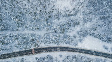 Gökyüzünden her zaman yeşil olan çam ormanının havadan görünüşü. Kuş gözü, İHA atışı. şaşırtıcı doğal kış geçmişi