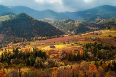 Dağlardaki muhteşem altın sonbahar. Kırsal alan.