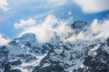 Polonya 'nın Tatra Ulusal Parkı' ndaki görkemli karlı dağ zirvelerinin sakin manzarası. Kış manzarası