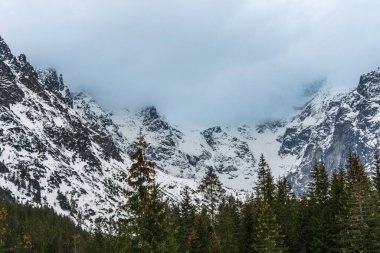 Polonya 'nın Tatra Ulusal Parkı' ndaki görkemli karlı dağ zirvelerinin sakin manzarası. Kış manzarası