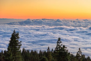İspanya, Kanarya Adaları, Tenerife 'de bulutların kapladığı Teide Ulusal Parkı' nda nefes kesen gün doğumu bu eşsiz varış yerinin doğal güzelliğini gözler önüne seriyor..