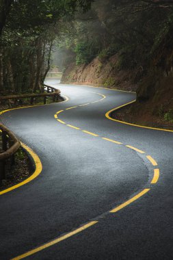 Dağ yılanı, sisli bir defne ormanında sisli bir yolda boş bir yol. Anaga, Tenerife, Kanarya Adaları