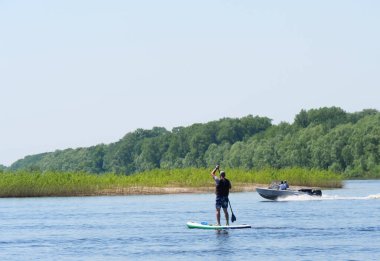 Minyatür Pinscher kumlu bir plajda koşuyor. Derslerde, yaşam tarzında, sporda, dinlenmede.