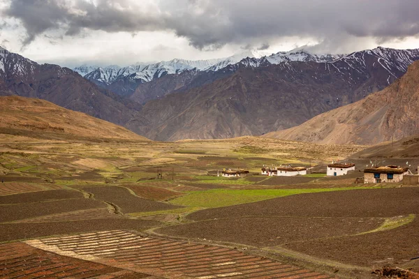 Ein Malerischer Blick Auf Das Himalaya Gebirge Und Die Grünen — Stockfoto