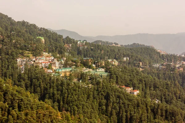 Uma Paisagem Florestas Pinheiros Torno Hotéis Casas Cume Cidade Himalaia — Fotografia de Stock